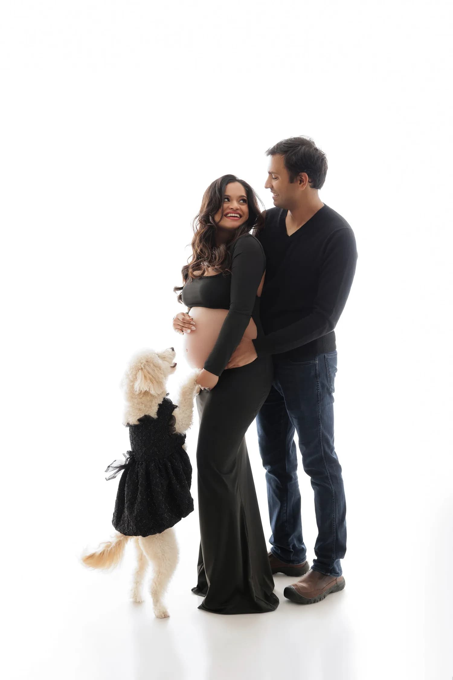 A small white dog in a black dress jumping up to an expecting couple